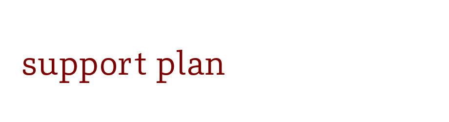 support plan